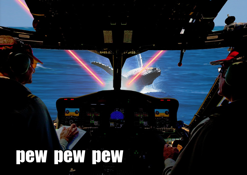 Illustration for article titled BP Photoshops Gallery